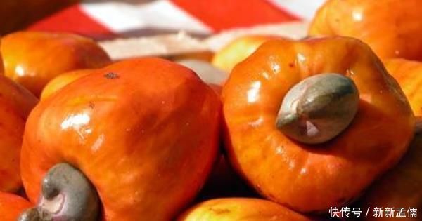 过程|腰果很好吃,那你知道剥腰果的人要受多大罪吗过程非常“残忍”