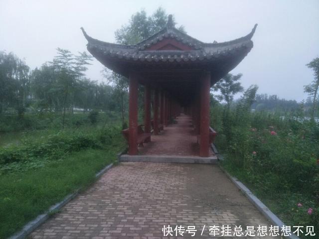 河南省|河南省民权县任庄国家湿地公园快来看,这里的千亩荷花开了