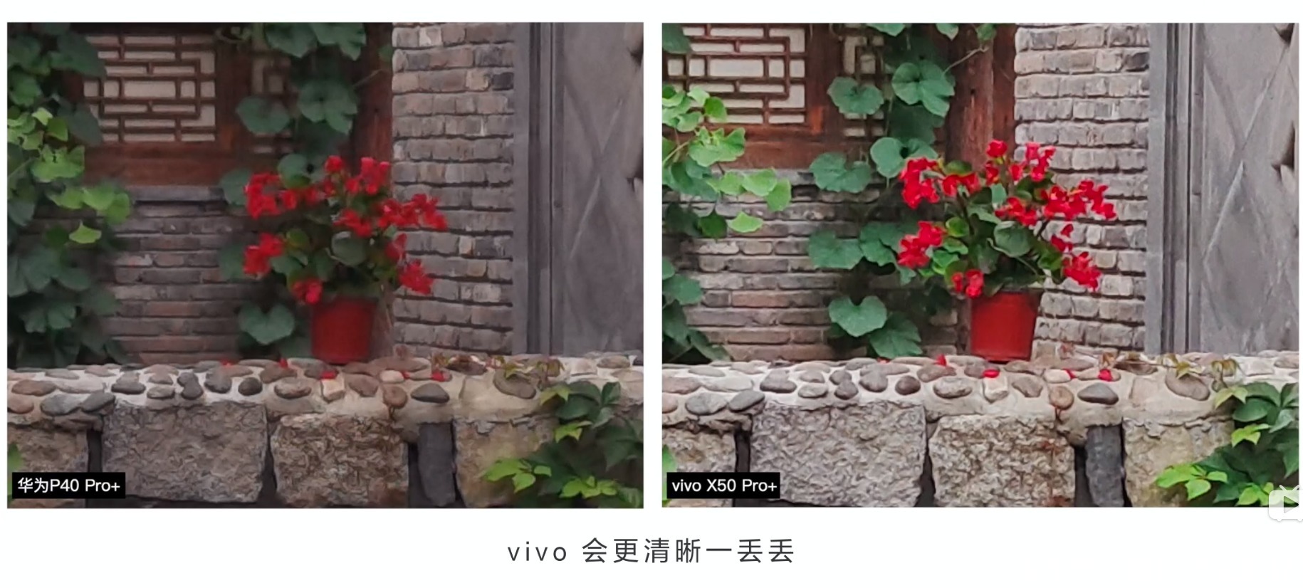  vivo|vivo X50 Pro+无所畏惧，正面对标华为P40 Pro+前者更“会”拍照