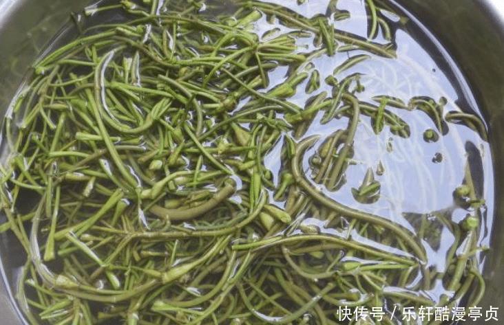 等于|秋季,吃猪肉不如吃它,等于天然泻药,刮油排毒,小腹不鼓了