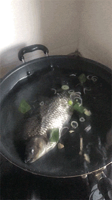 GIF|搞笑GIF:好可爱的姑娘