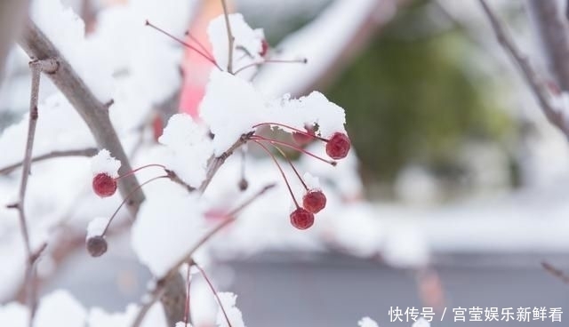  想象|我永远活不成你想象的模样，就像雪后夜空中的冷月，汪汪地凝思