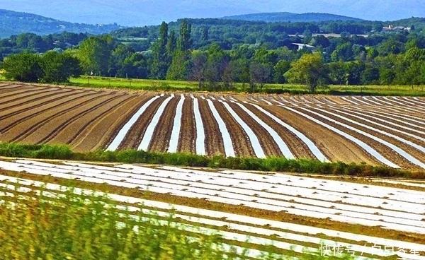 新规|国家出台废弃地膜回收新规,杜绝乡村白色垃圾,自觉从我做起
