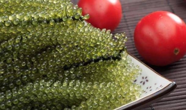 嘲笑|吃西餐时,牛排旁边的小葡萄最好不要吃,否则服务员会嘲笑你