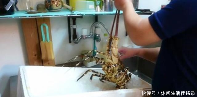 了得|我国一级厨师的刀工了得看他如何处理大龙虾,几乎没浪费虾肉!
