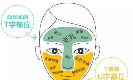 皮肤|宫羽解密｜拥有混合肌是一种什么感觉？