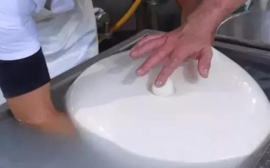 傻眼|网红花800元买“水包子”,用100斤牛奶才做成,切开后“傻眼”了