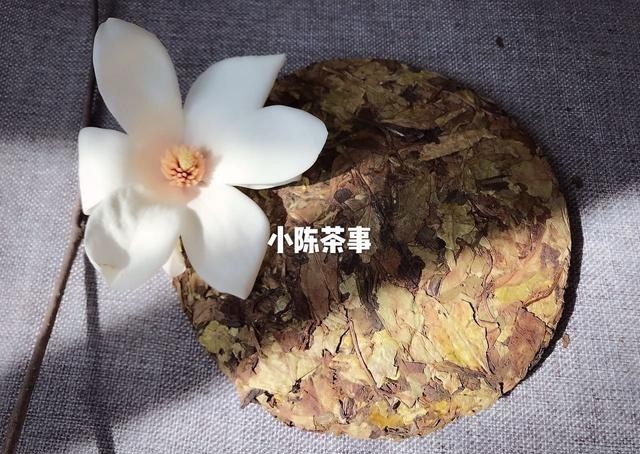 别一|白茶饼一撬就碎的秘密,你知道几个?别一撬碎就怪品质不好