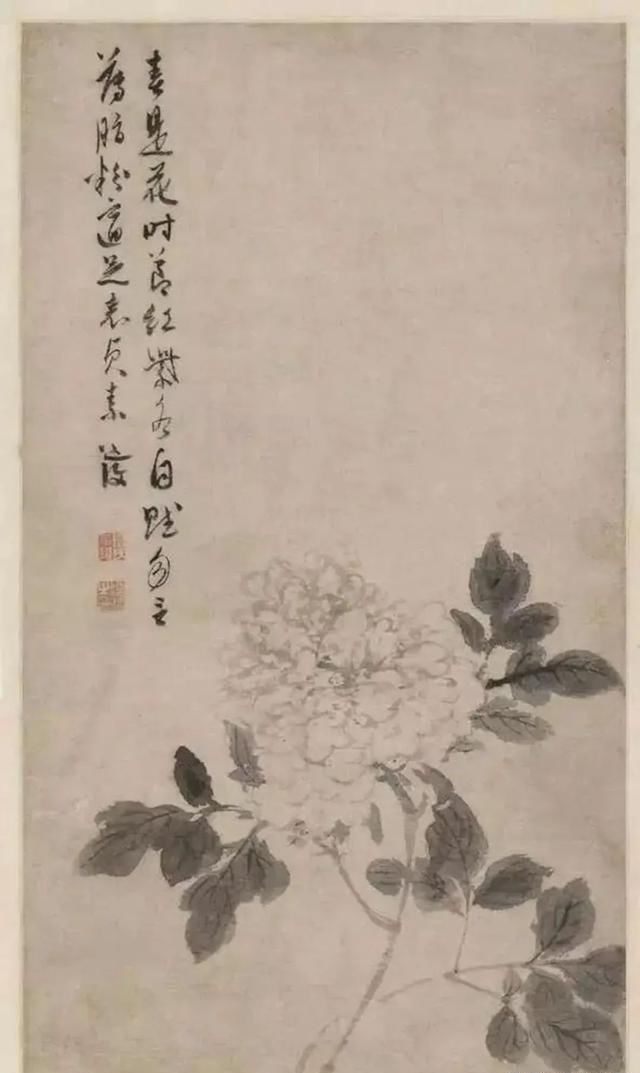 不少|不少大师钟情于牡丹,对于牡丹的画法,历代大师都有自己的感悟