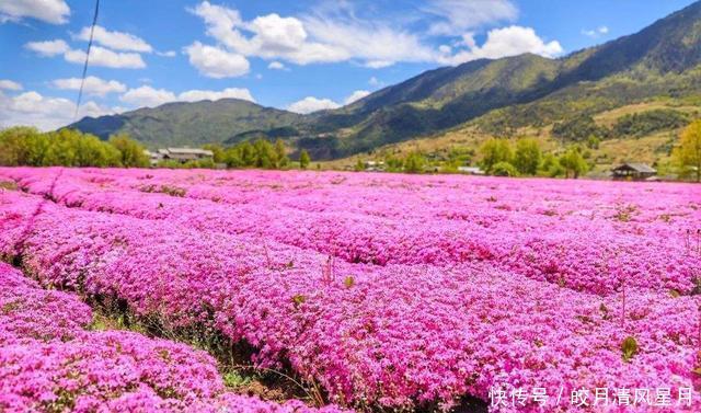 美容养颜|全球保存最久的蜂蜜,3300年不变质,难道蜂蜜真的不会变质