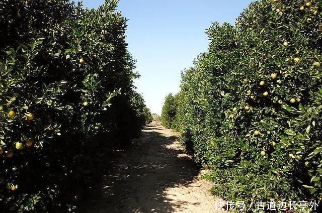  神秘|让人毛骨悚然的，10个犯罪谜团，和佛罗里达州神秘事件