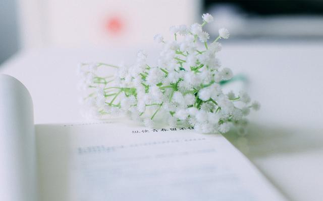 陈丽|如果你的婚姻正处于想离离不了，过又过不好的状态