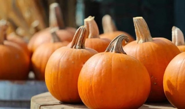 南瓜|长期吃南瓜的人,竟然都变成这样,简直是让人目瞪口呆了!