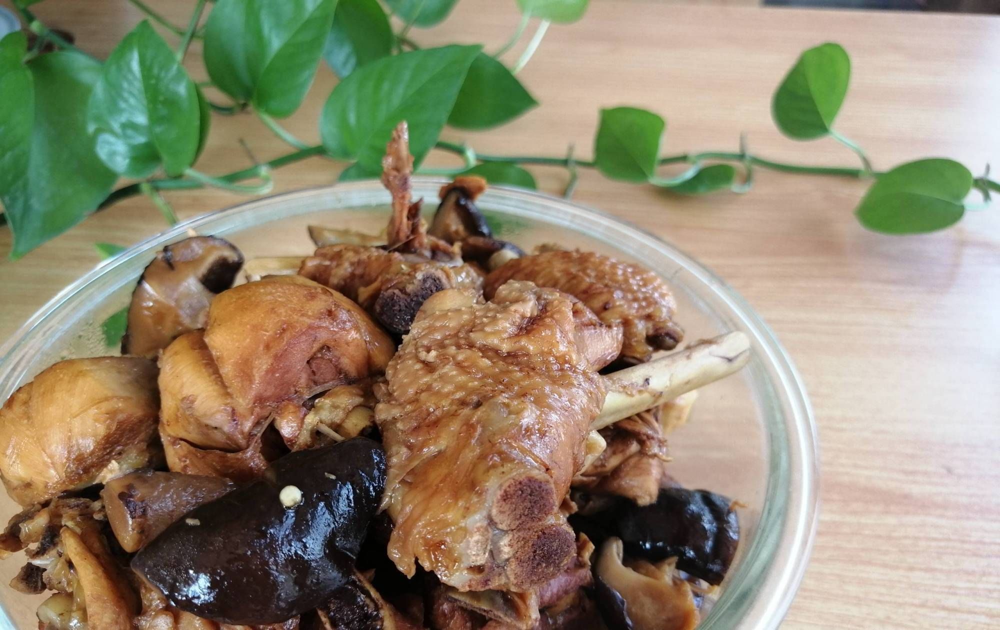 青霉素|“天然青霉素”是它，三天吃一次，咳嗽肺热不见了，很少人知道