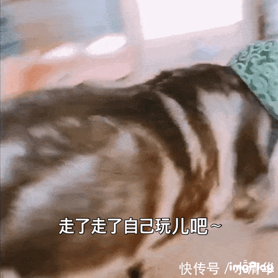 洗化|让我们追求无用 | 好闻的洗化产品合集