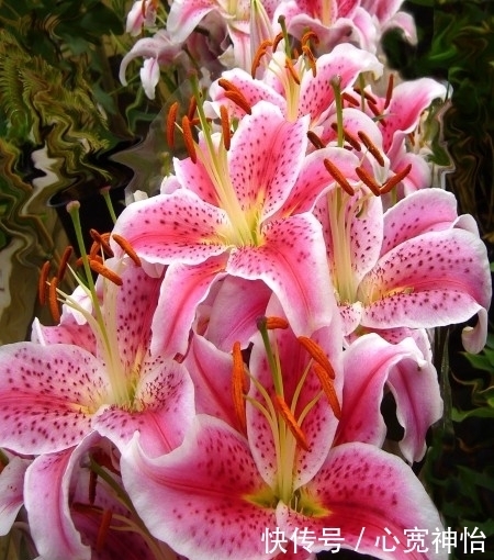 待命|7月末,爱情回转待命,主动出击,真爱有望重来的4大生肖