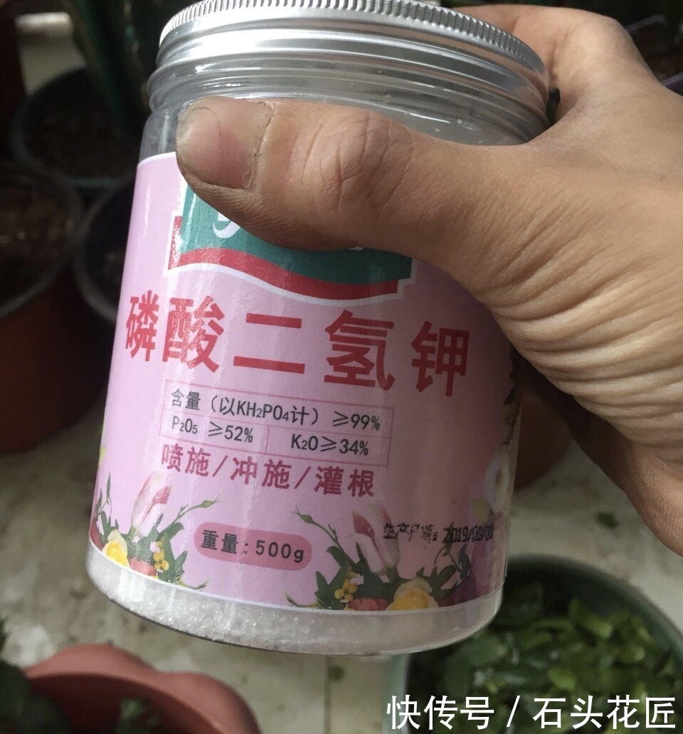 元缓释肥|会养花的人,在秋天必备“4种”肥料,适用所有花卉