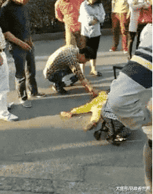 好好|搞笑GIF:你这处处设陷阱还想不想好好过日子了!