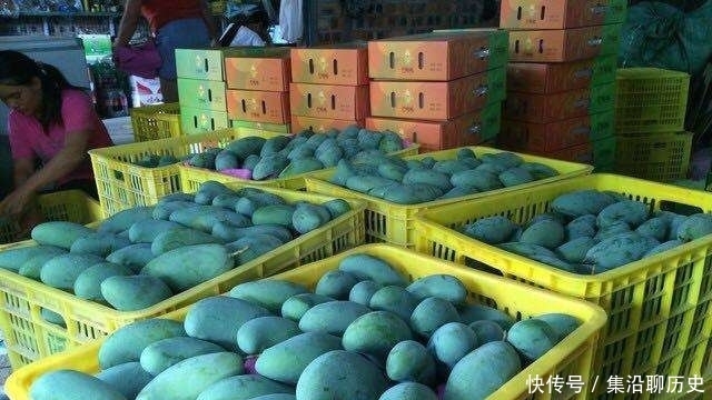 同类|曾是同类中贡品,果期只有10几年,如今沦为低价品,5毛钱一斤