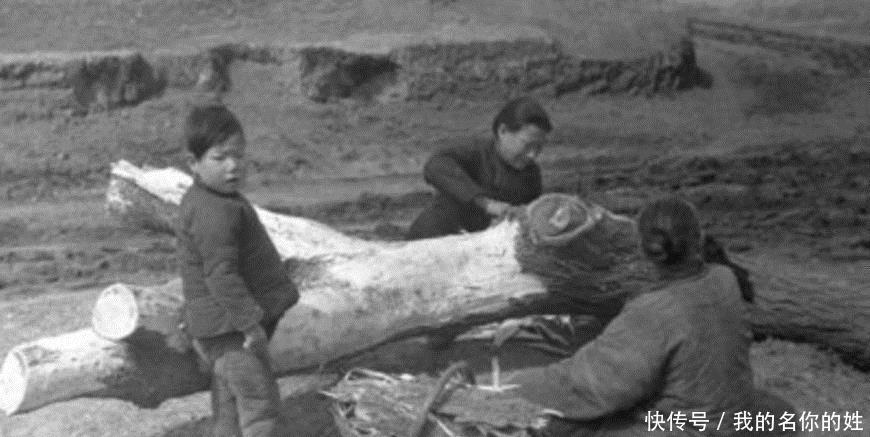 告官|老乡造反，朱元璋为什么不去告官，被反问你当初为什么不告官