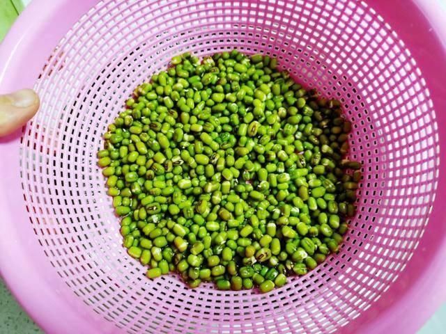 脆嫩|这个发豆芽小秘方,姥姥用了半辈子,又粗壮又脆嫩,3天就能吃