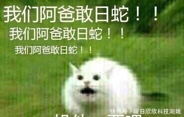  万票骑脸|阴阳师：B萌双王事件已过两年，雨女泪送神乐，非洲撸狮还记得吗