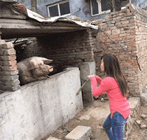 GIF|搞笑GIF：这个特效怎么样！