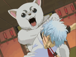 活鸡|搞笑GIF：厨师世家的孩子，从小就练爆炒活鸡