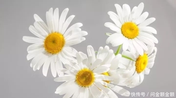 别忘了|心里再苦,日子再难,也别忘了这句话!(写得真好)