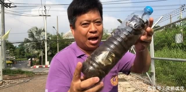打开|男子捉了15只螃蟹,塞到瓶子里,15天后打开乐坏了!