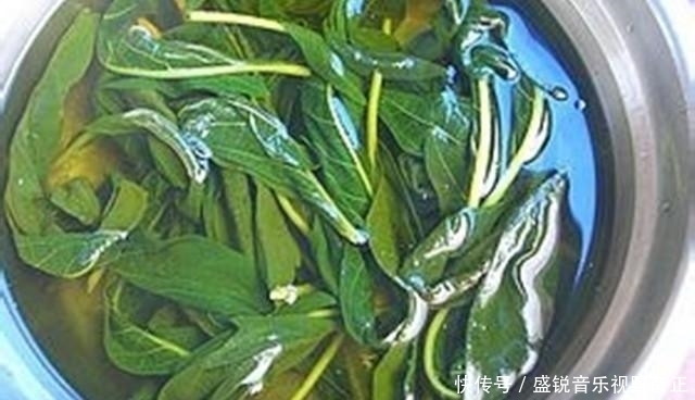  供不应求|大家都只吃种子，其实叶子才是“宝贝”，如今20一斤都供不应求！