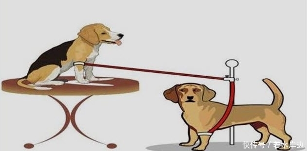  血液里|人类输血的起源：把小牛血输入疯子体内，希望他不再发疯变温柔