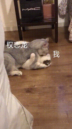  搞笑|搞笑GIF：妈妈真是有耐心！