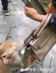 漫画|搞笑漫画:小伙子忽然认为抄近路可行