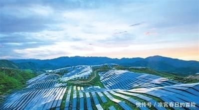 消费|减油消费让天更蓝