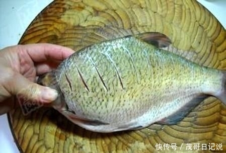 鱼含|鱼腥的“克星”是它，不是葱和姜，做鱼时加一点，鱼肉鲜嫩无腥
