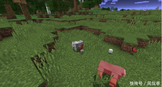 有趣|《我的世界》4个有趣的特性 5年老玩家也不会做的水桌子你见过吗