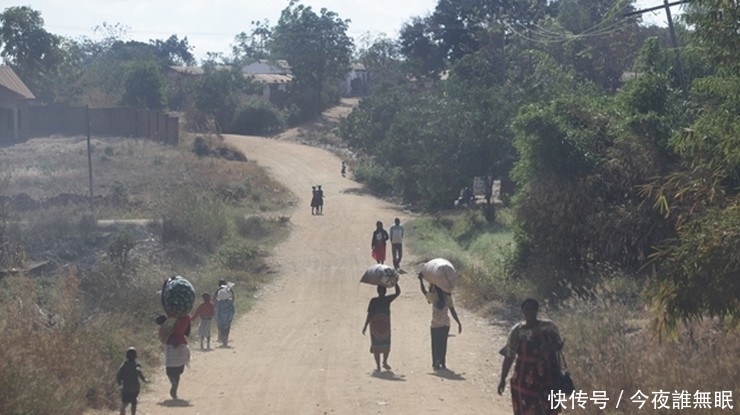 图片来自网络|这里的孩子早早辍学，每天去田里抓老鼠只为一种美味