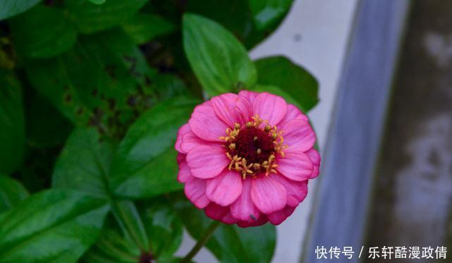 射手|十二星座自己都不愿意承认的事,射手爱现,天秤多疑,你呢