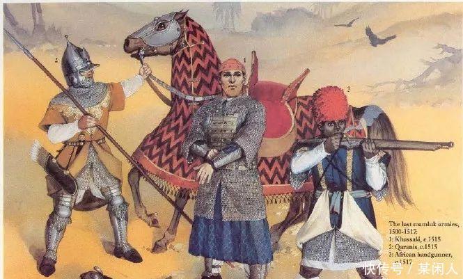 夭折|夭折的苏伊士运河 马穆鲁克王朝的崩溃与葡萄牙舰队的史诗战绩!