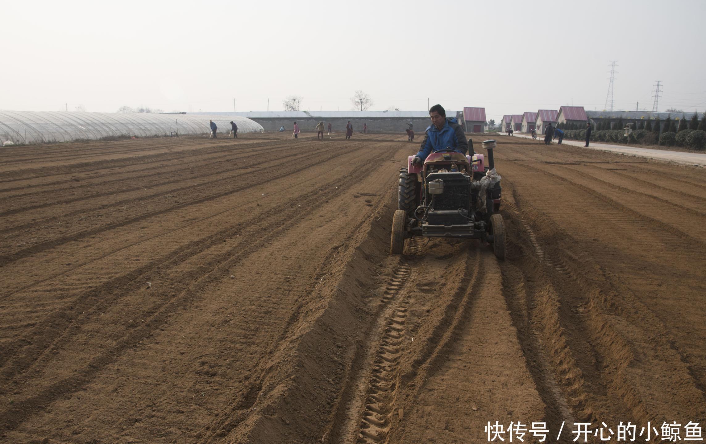 一亩地是多少平方米,很多老农民都不清楚,