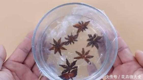  八角的味道|常用的八角有特别用法，感兴趣的赶紧学学，能知道不少