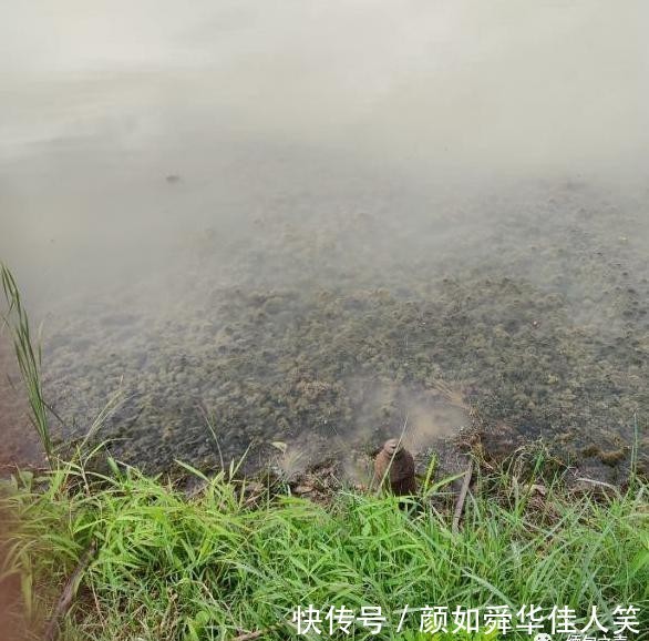  航空|缅甸新闻：一船沉没2人死亡；村民清理杂草时发现航空炮弹