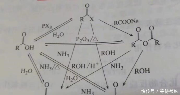  男子|男子腹部肿大得像个西瓜，原来是连吃了一周小龙虾，真是个狠人！