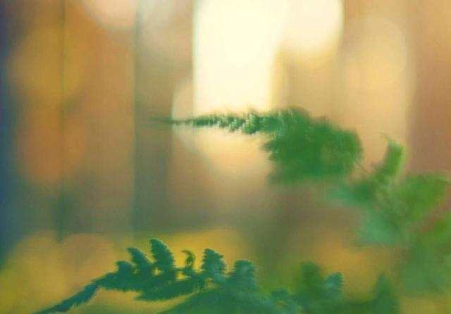  再见|“爱你那么久，到后也没舍得说再见”