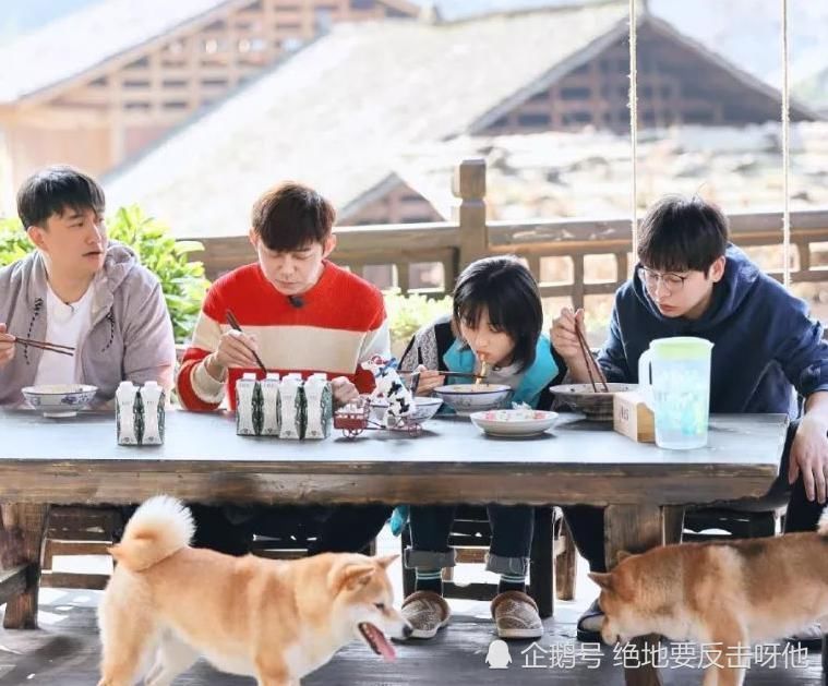 热播|《向往的生活》热播中,即将迎来谭松韵和任嘉伦,网友快播下期