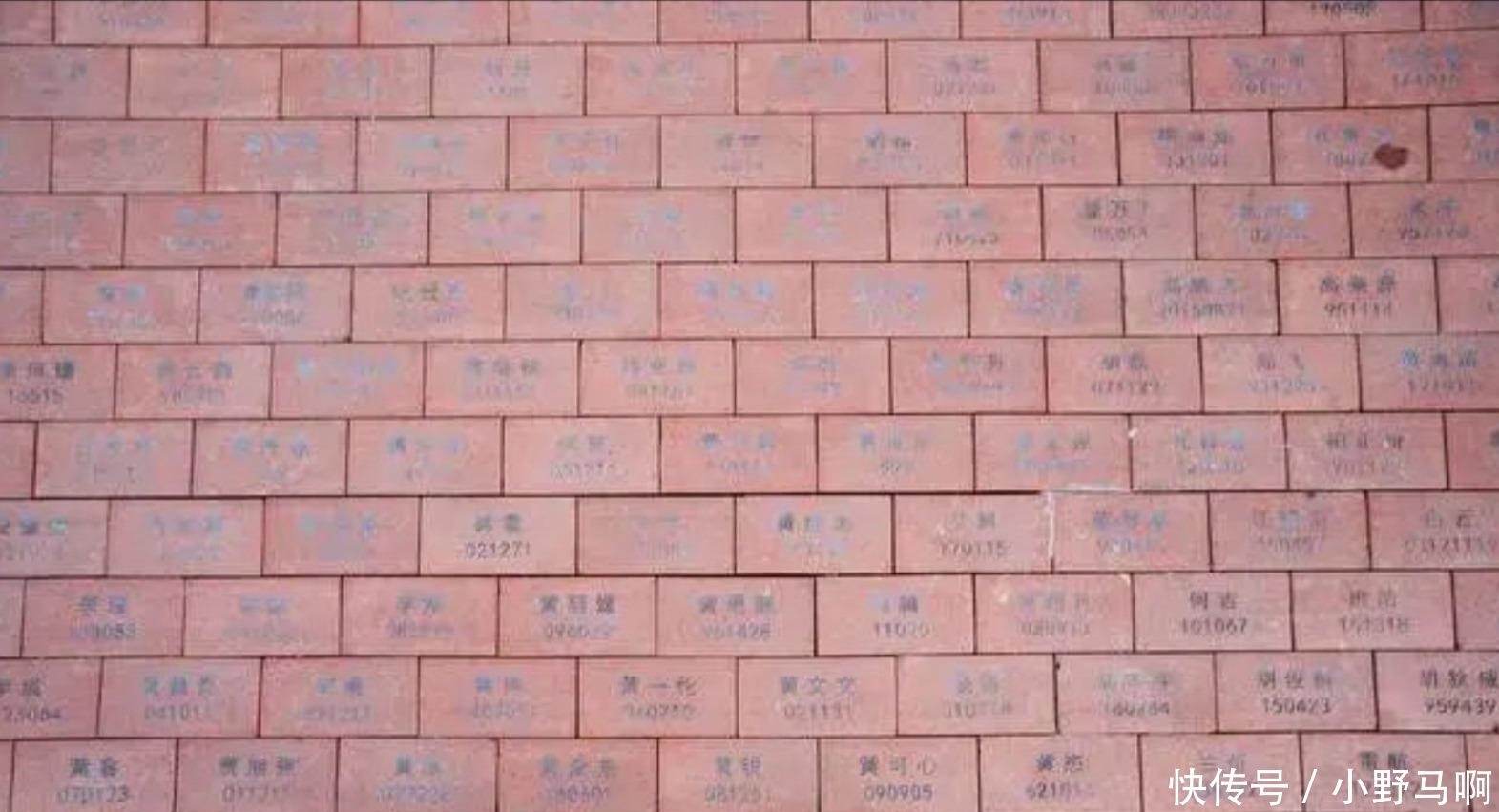 名字|毕业生认捐母校5千块砖铺路 每块31元刻上自己名字