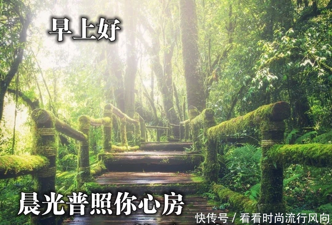 句子|6月14日早上好温馨的祝福图片最新版,周日愿你快乐的问候句子