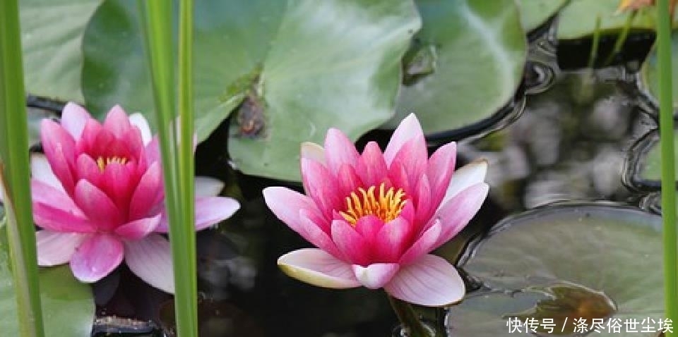 些事情|说到心坎上的人生句子,感悟人生百味,道尽人间甘苦