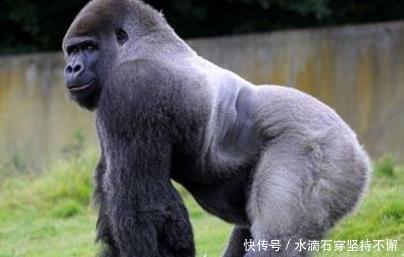 例外|史上九个双手垂膝的人, 其中八个都当上了皇帝, 只有他是例外！